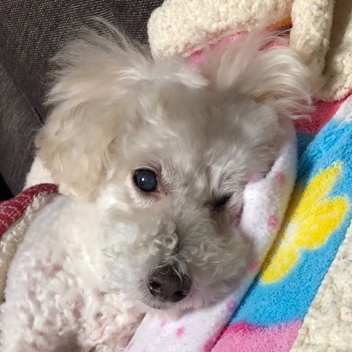 0e4cb858 9506 4f31 bfb3 bd7849518d0b 1542170025932