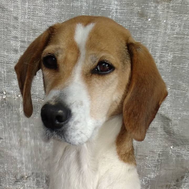 0e4cd84a 861b 4bb2 a419 f1fddda75619 1672988496960