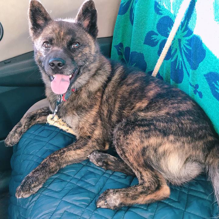 0e4d0212 3e4d 4417 ae9f 3baec8010e50 1533029331832