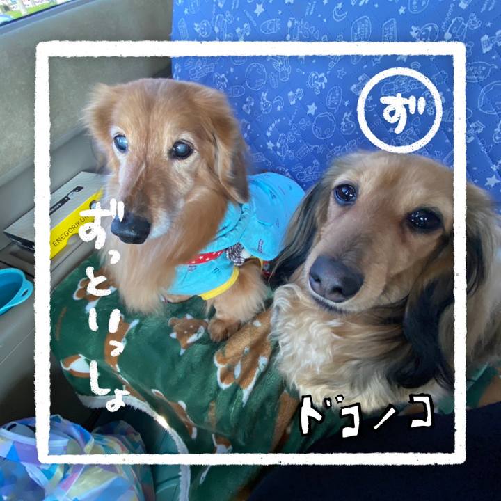 0e4d2016 1196 4296 8bea f28fb5ebd8ab 1685937213201