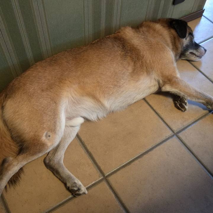 0e4d2943 1789 491d 841c 8e056c3ba60d 1582777176978