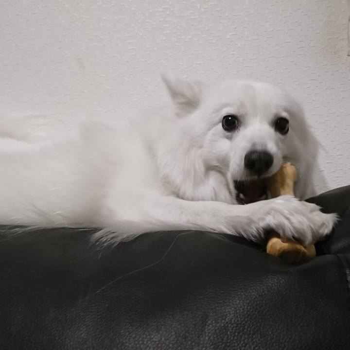 0e4d56d4 ea2e 4338 9fff 93bc8e9fa763 1611475478084