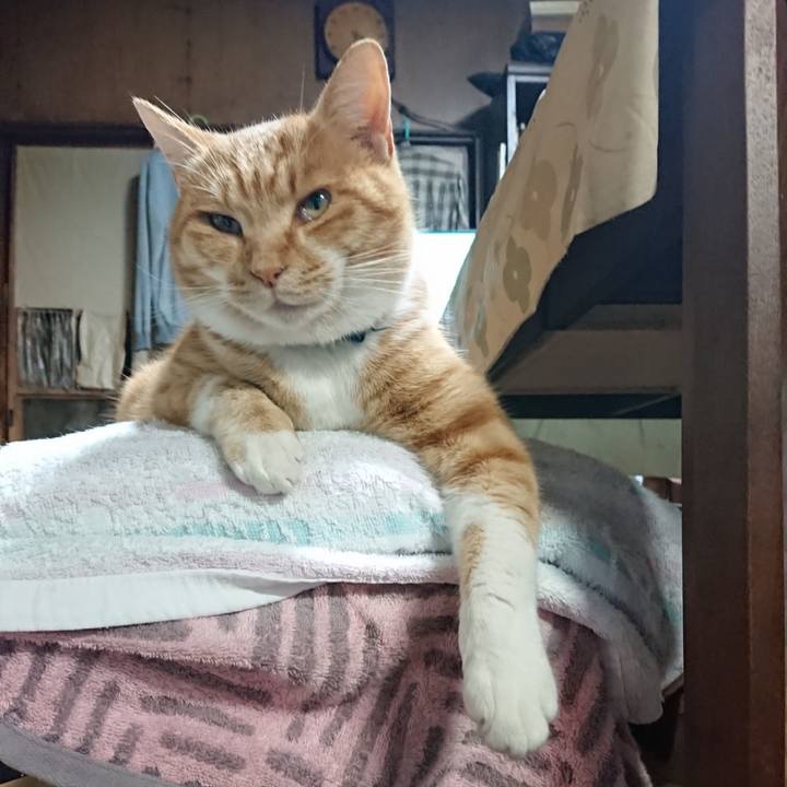 0e4d65ae 29a1 407a 8503 14ffb07e3c4d 1607678413359