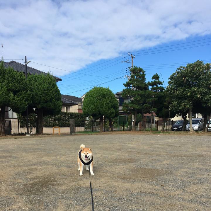 0e4d71a0 8fe8 4aff a765 4857462d6adb 1568506587975