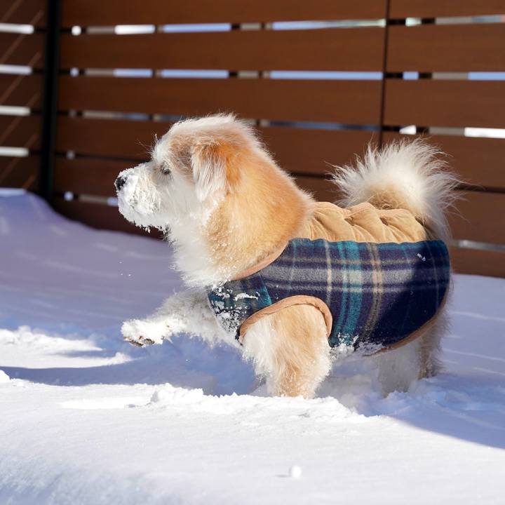 0e4d7c76 fd11 4cdb 899b ac9dd1e3d87f 1770523346457