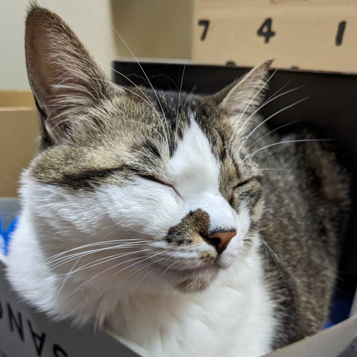 0e4d9468 c1e4 4f95 be1c 08e746c37b5f 1706435710636