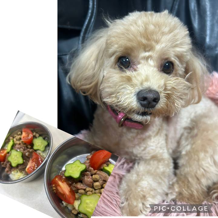 0e4e1682 fe1a 42aa b988 d8422cf13eaf 1750689100162