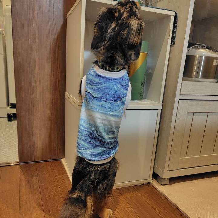 0e4e3080 fd5e 4177 8be8 e4975e71ee6f 1720479867364