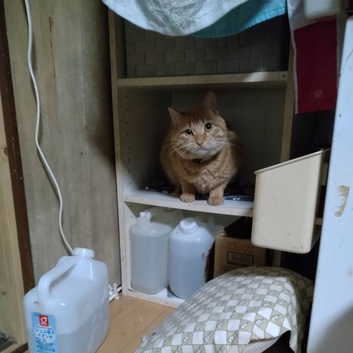 0e4e52d7 c981 426a 8766 c4e71714a844 1671192842606