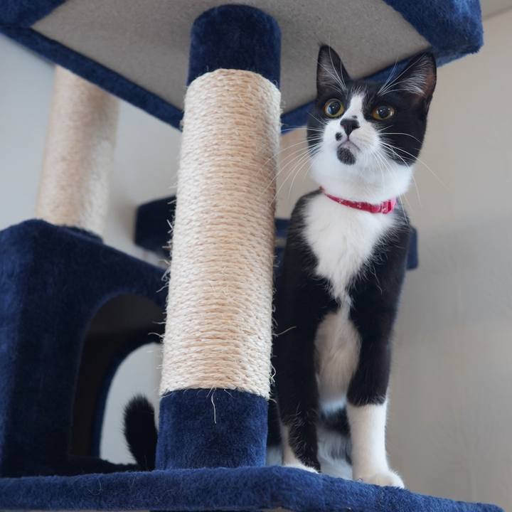 0e4e6a37 d104 483a b039 2f1516da3583 1612175665686