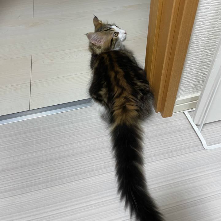 0e4e6e60 df8c 4d89 b560 811a3c8f8ef9 1633120982310