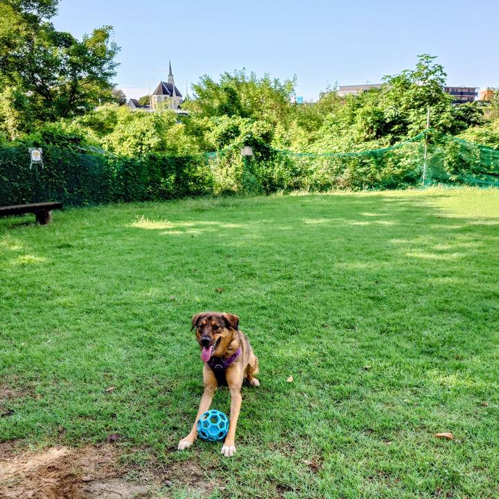 0e4e79f9 27c7 4d15 915d fee44c53e42e 1758418797195