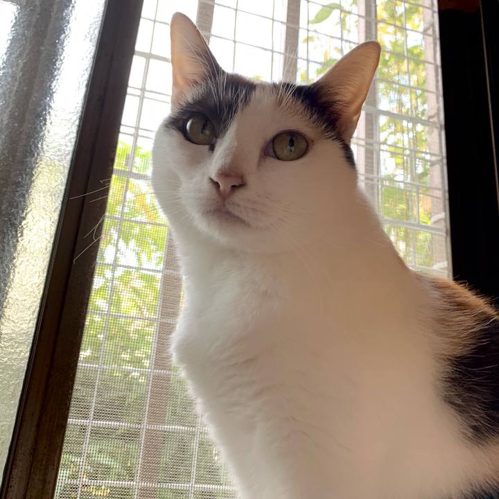 0e4e7ff2 6137 4e78 9f37 a8c601b9018d 1539483952592