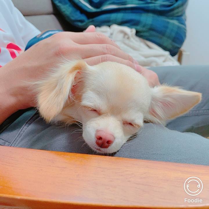 0e4e96be db52 437d aa16 06e29b807441 1604117145134