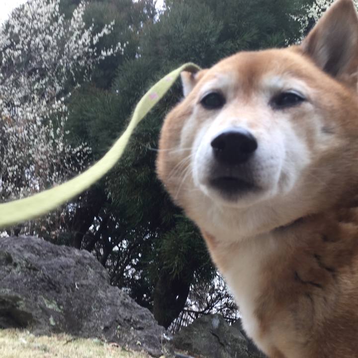 0e4ec1cd 4d76 4e9e 802b 1ca3f1f9bf13 1614318568082