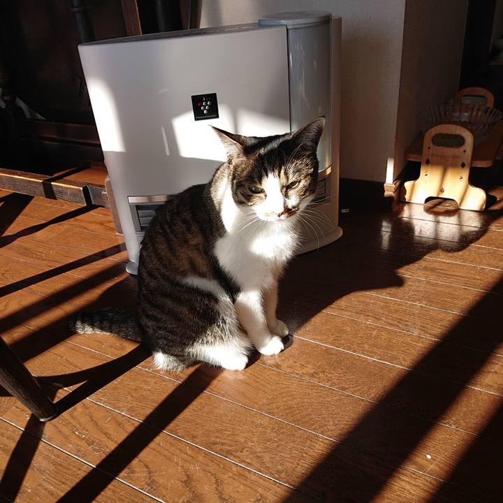 0e4eccea cdf6 44fb 9245 796a2a249135 1609128814693