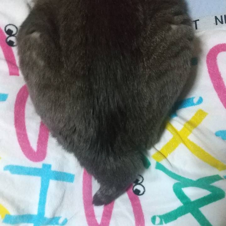 0e4ed15a 9f77 4cf0 9690 e743d25be017 1641837899997