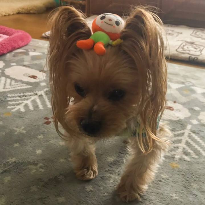 0e4f0fcb d593 4e13 b35a 34bb1d3d731b 1550654419838