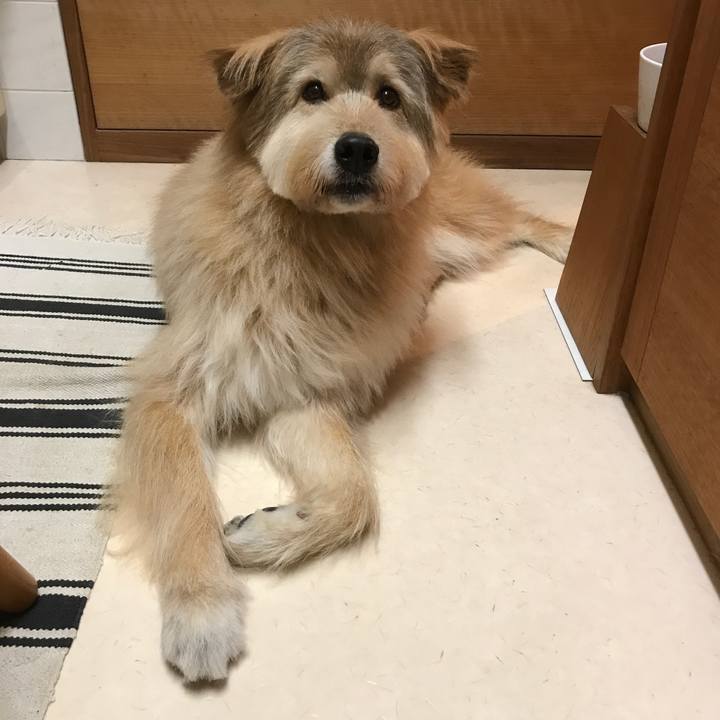 0e4f2665 3260 40ed 86b7 c952d35590e7 1543327239089