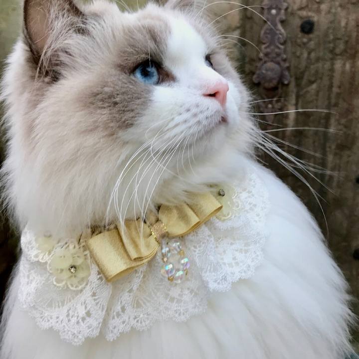 0e4f3fbd 01a0 4cb0 9b88 c6d24ea19e91 1607087809475