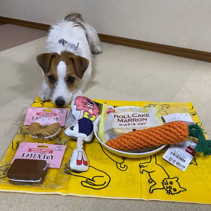 0e4f5bc4 3bb7 4bb8 a893 9041c46e3f79 1666958508522