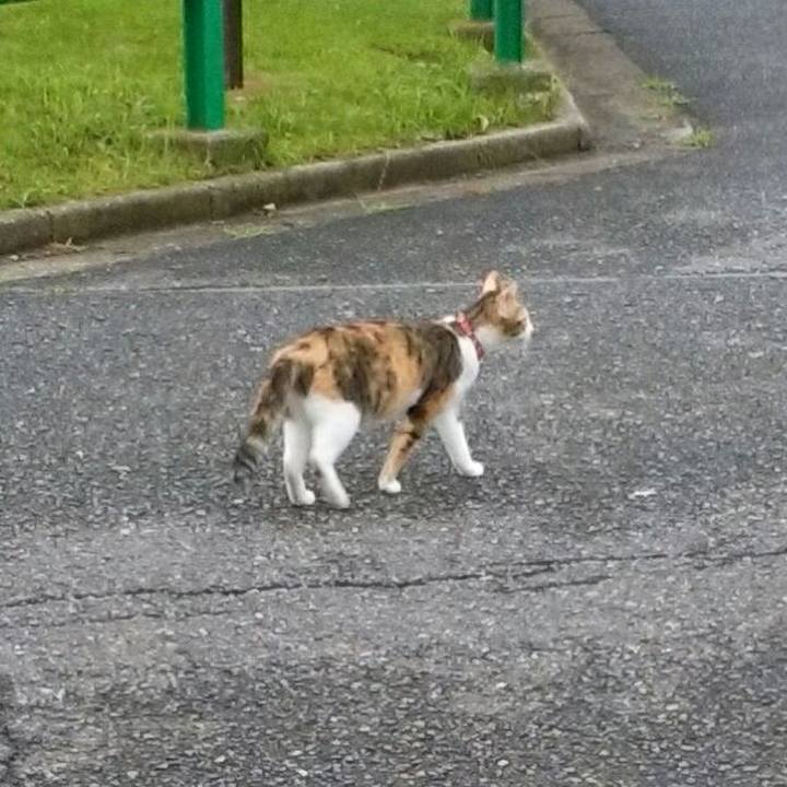 0e4f5c08 715e 46b3 a22f ccbaf586c9ec 1563178192544