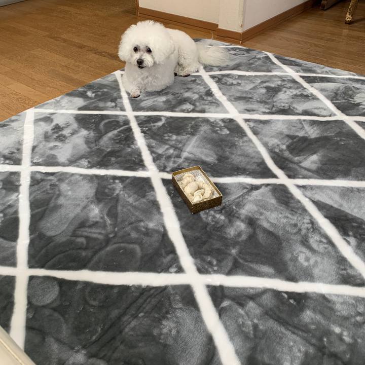 0e4fa449 d6d5 46f0 99fe 240cfaa021fa 1640830747341