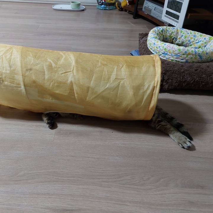 0e4fa839 8726 4bdf 87b8 cf9356c5f4b6 1639309605950