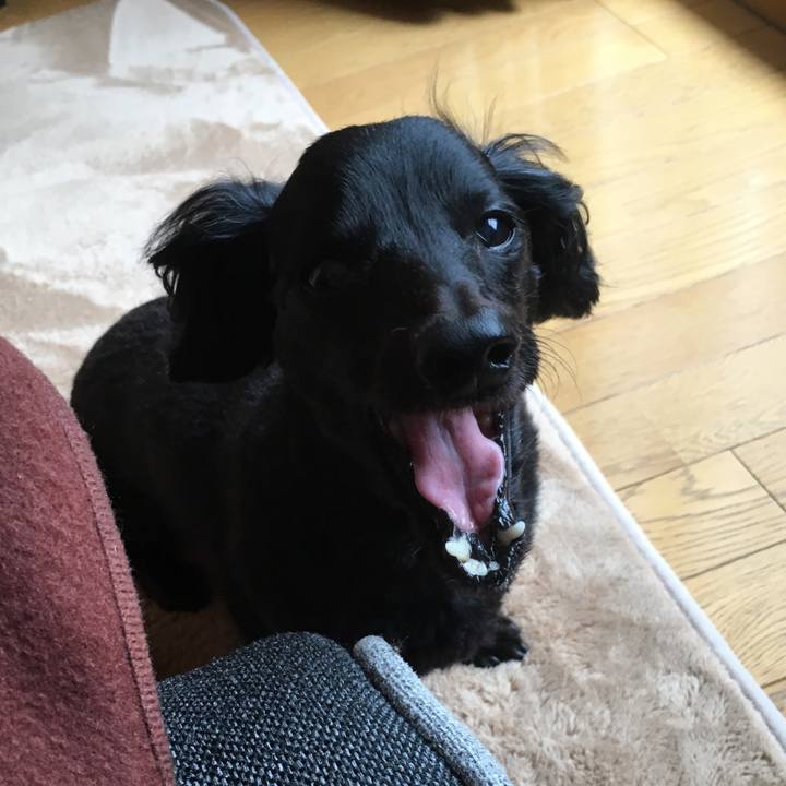 0e4fbd64 34ec 468e a67b 2b6a27b89e3b 1512079281951