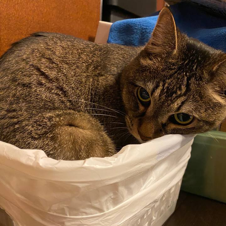 0e4fe8b5 4ddc 417e aa96 08f2dab378b5 1652602053759