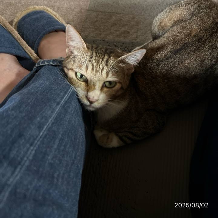 0e502c2d 7028 4031 8505 e37d6d44536c 1754109277417