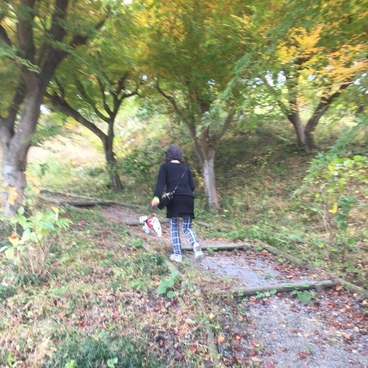 0e503852 5d36 4ff7 83cd b4e6598da0a0 1511177566261