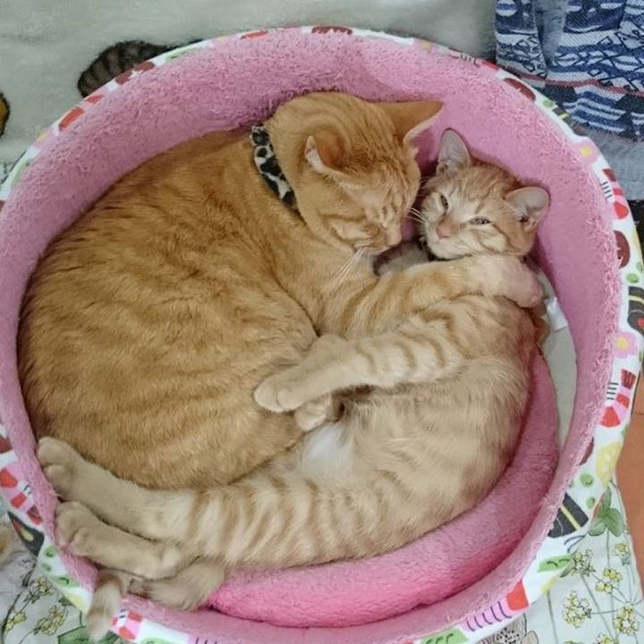 0e506d1f 474f 40c1 966e 313cb28a547f 1604190450506