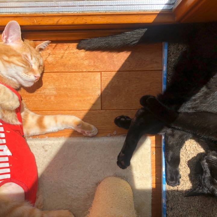 0e50723a a6c5 4060 ac5e cf72f3b5f2e6 1587469926306