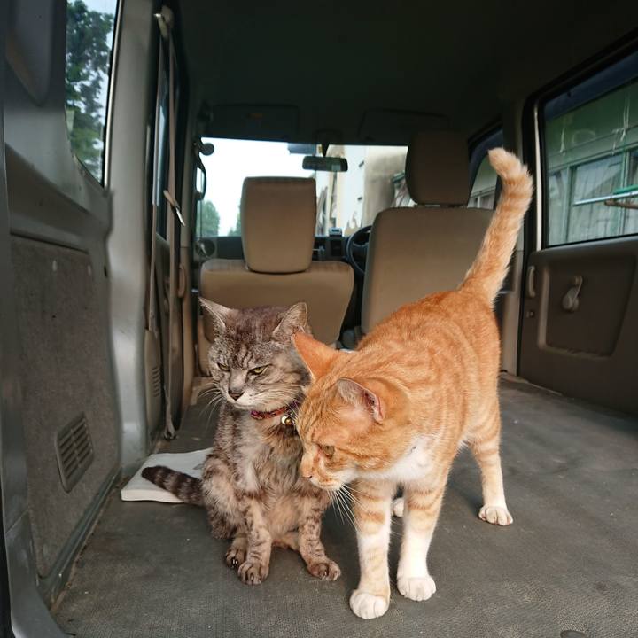 0e50aa5d 25fa 4d05 8ed3 73ebbb5c78d2 1596662551541