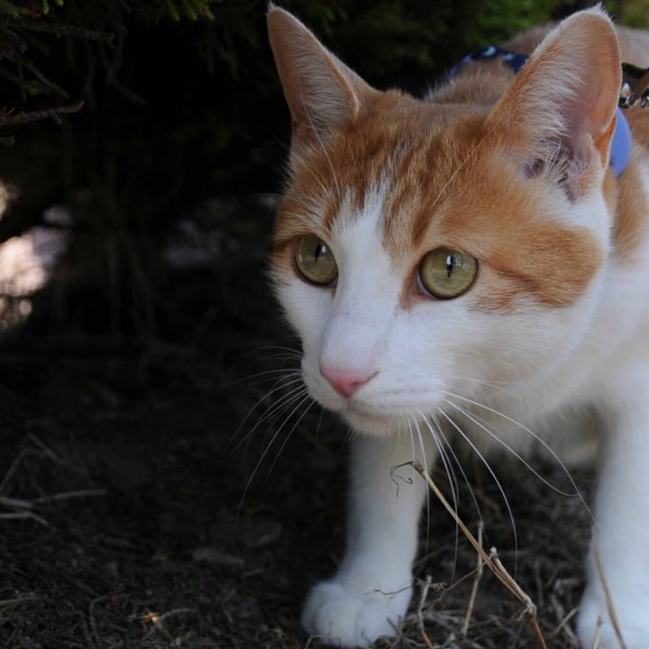 0e50e1cd 70a7 42ca 9663 4f0d62555726 1524987852610