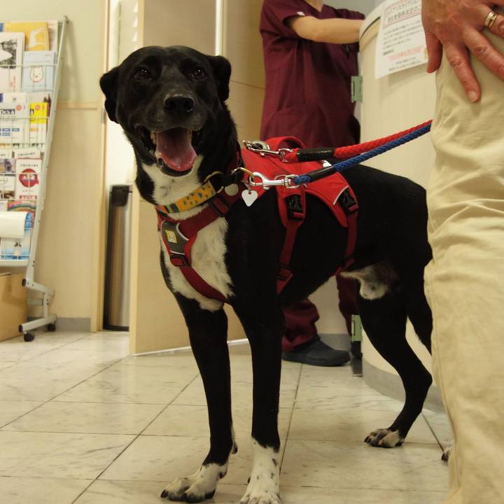 0e51408f af8a 4988 bae9 276f15edf231 1591353617916