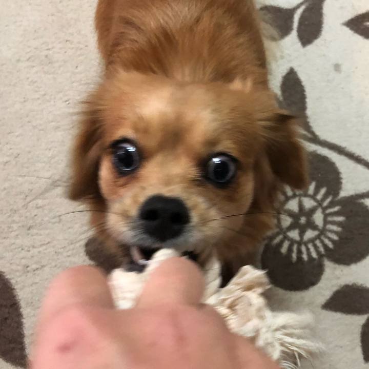 0e5162b6 47a5 409a 9e8a 99b1985931b5 1513463867919