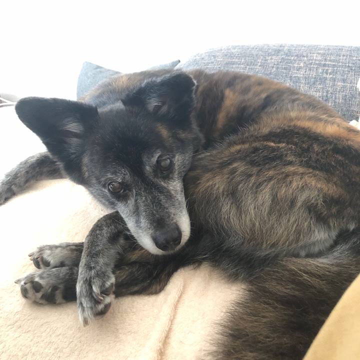 0e51850e ba50 49f8 b0d1 4241e0c11bae 1690696590660