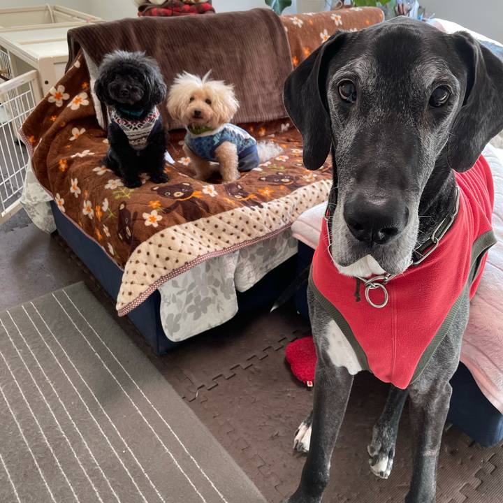 0e5188e1 1ea1 4738 9c1c 6a36a53b7c69 1615933764761