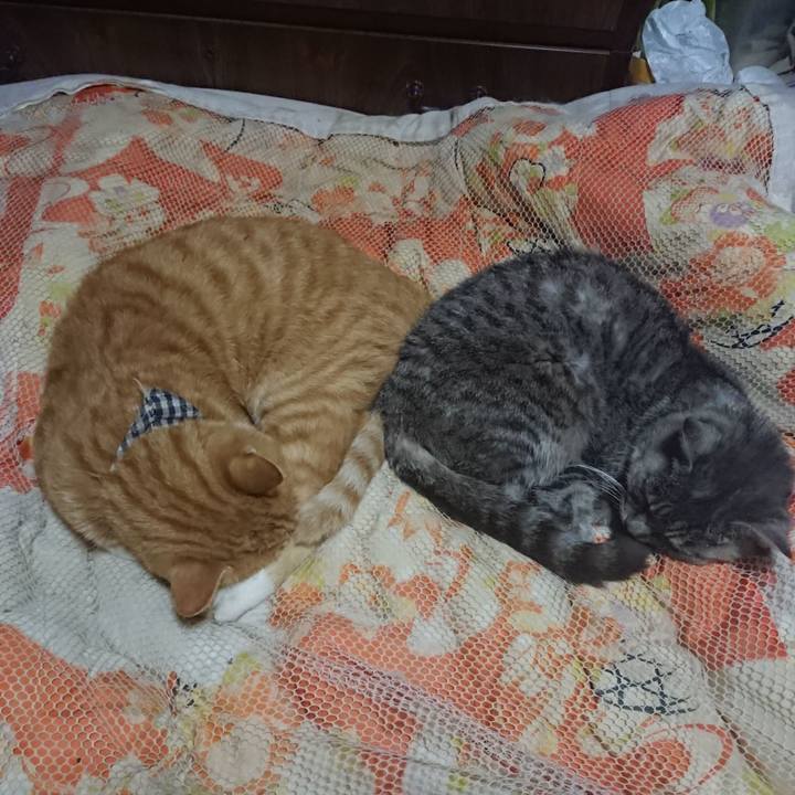 0e518c60 c8a5 4fa7 a5be 3e6f5f1799f3 1572265981081