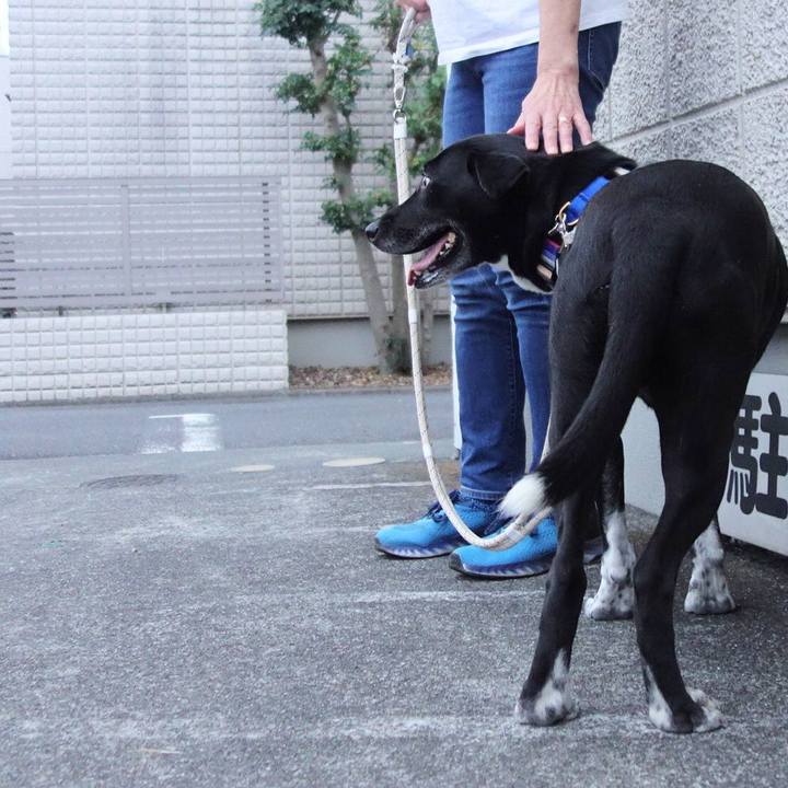 0e51ede9 25dd 4b87 9bac 05f6c92361b7 1657633679497