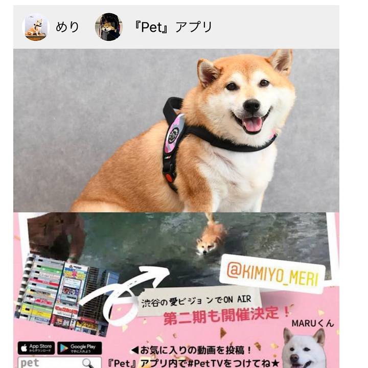 0e51fbf9 3443 4f8c 8da1 f572abc52c8b 1661750248757