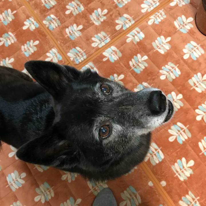 0e521d72 dd6e 479e 9b67 39987d7fb361 1513335876904