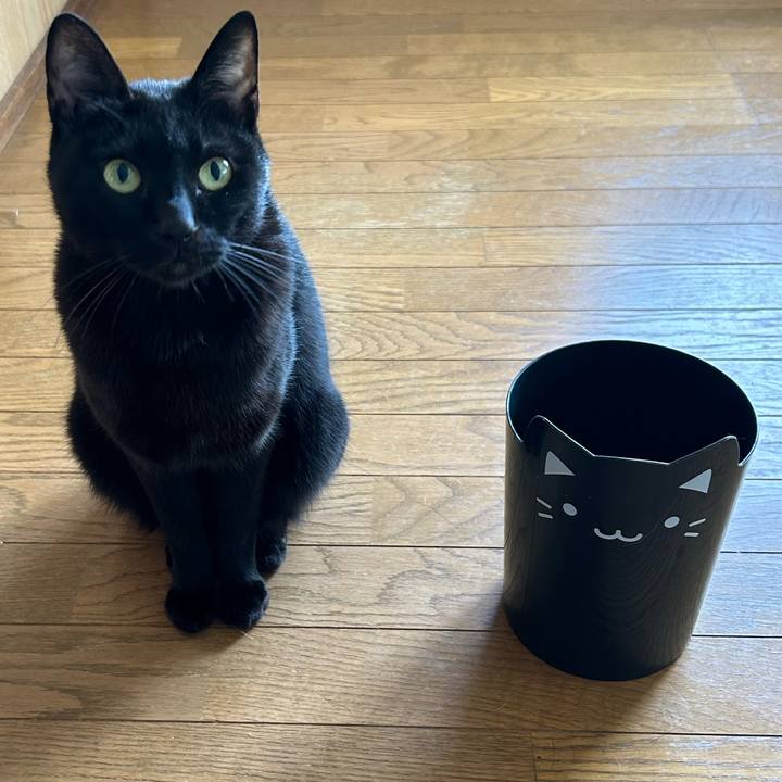 0e523637 5c26 4e7d 87f0 ba897df3ede9 1725668591498