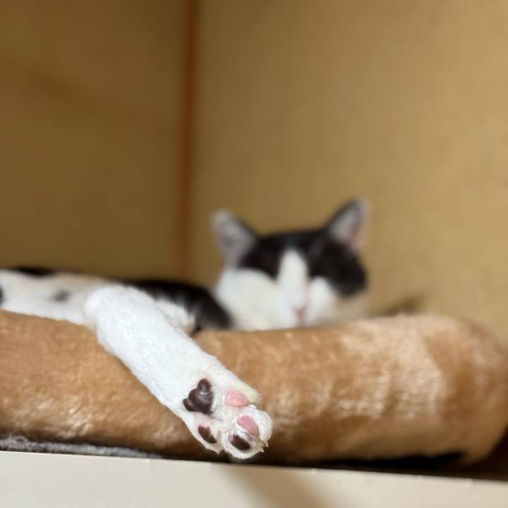 0e523b8c 606f 4a40 8a6b db72a970eb61 1736472249925