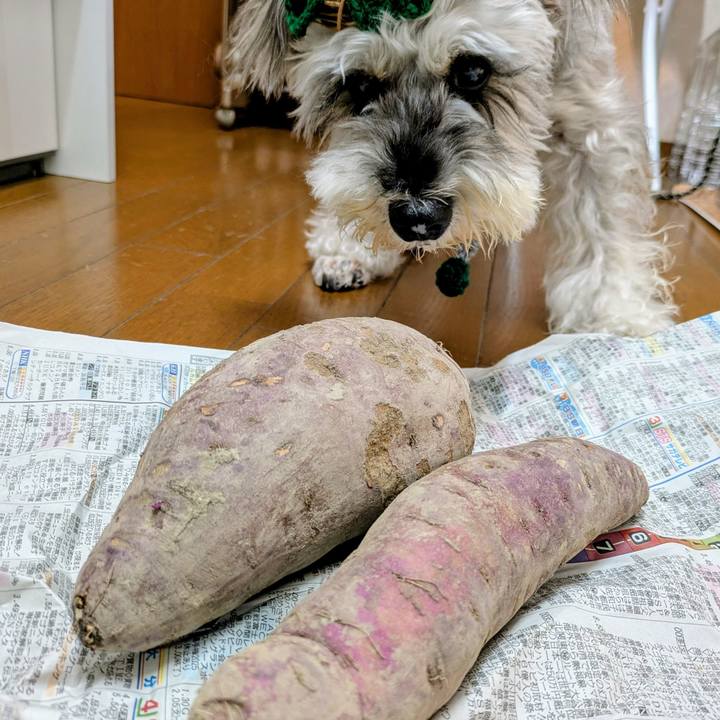 0e5242ed 9b96 48ef 8ad8 ee618f77bdac 1762651233590