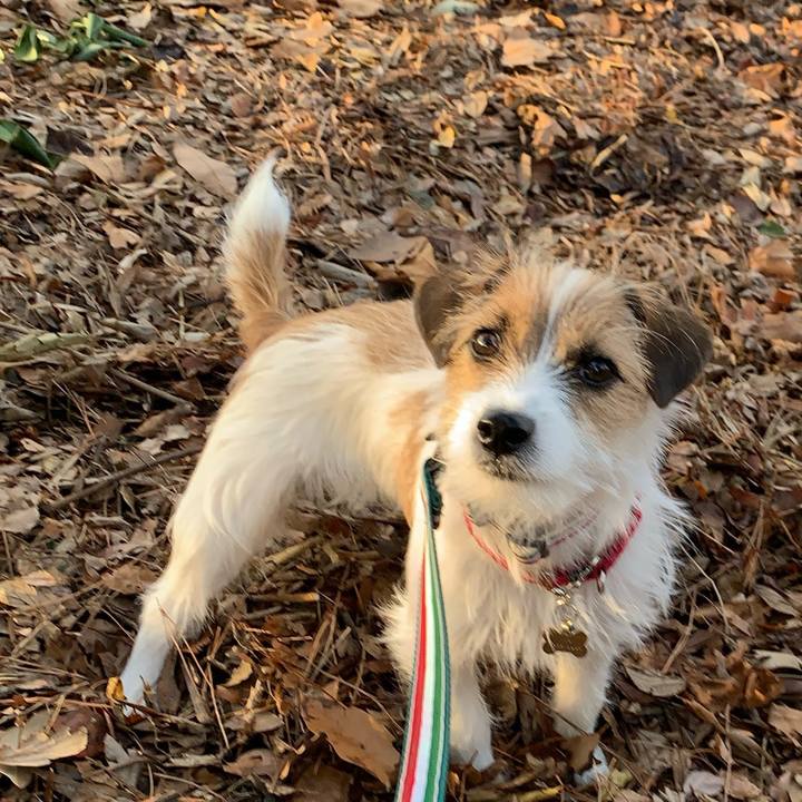 0e524fb3 8d0a 43ab 9a98 06d9d8e476cb 1770557889021