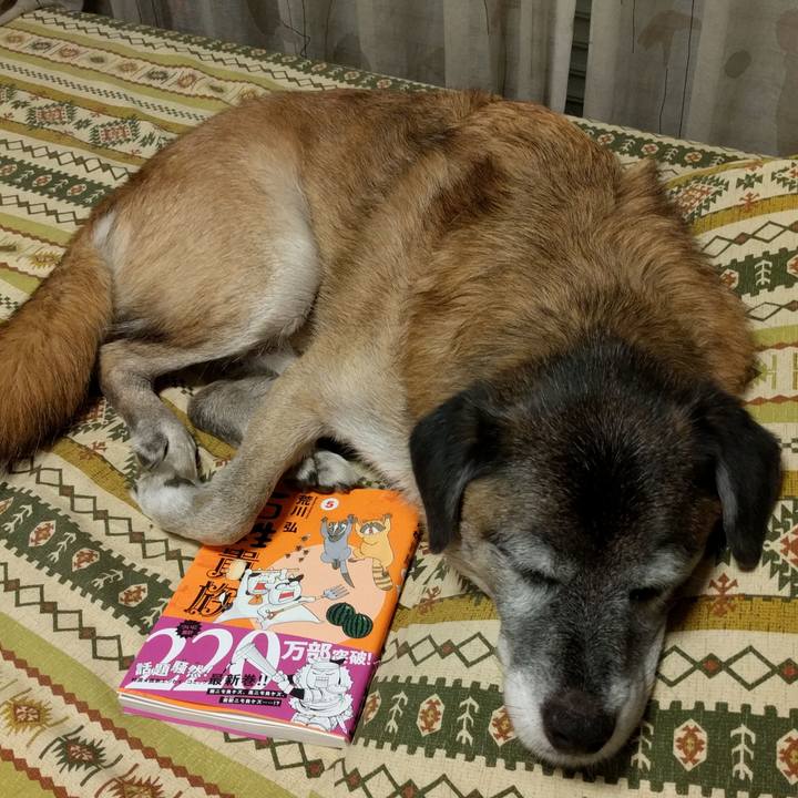 0e5277e7 76b0 40f7 b805 cf9267964aba 1536835542738