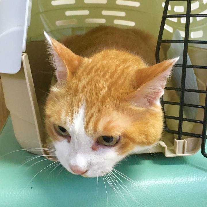 0e528073 2e1d 4699 b826 885dd68d7268 1565257249983